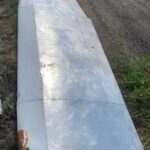 Wing